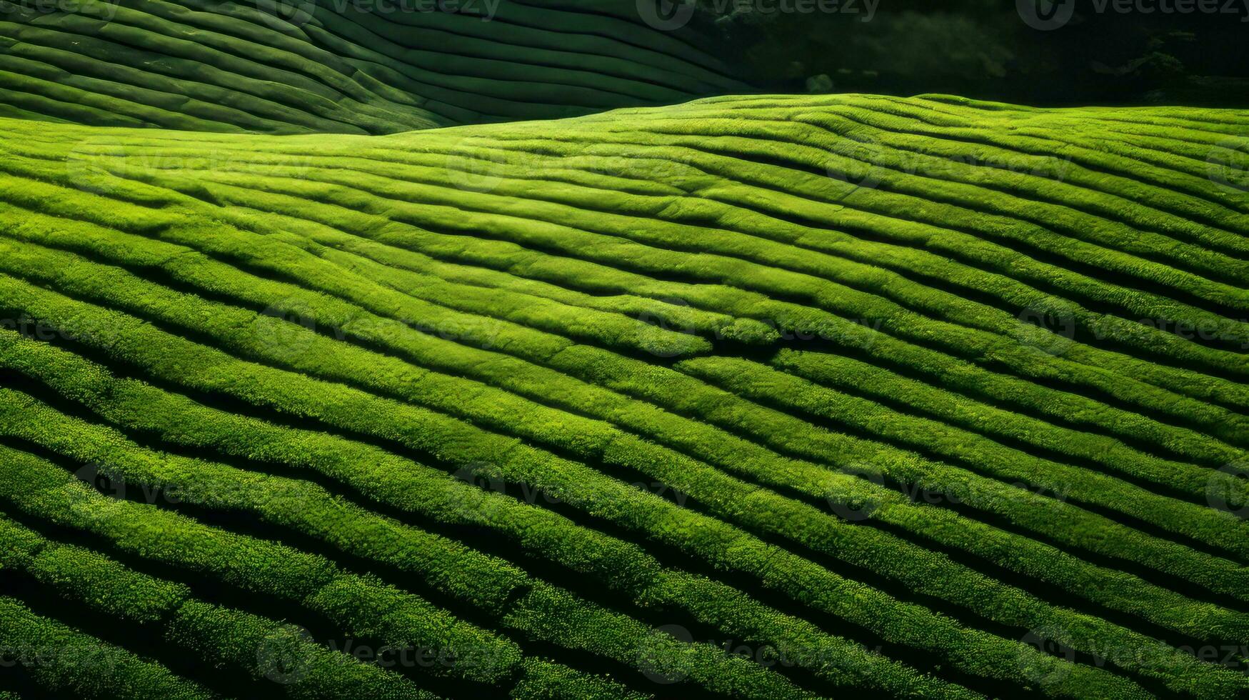 ai generato verde tè piantagione, superiore Visualizza struttura foto