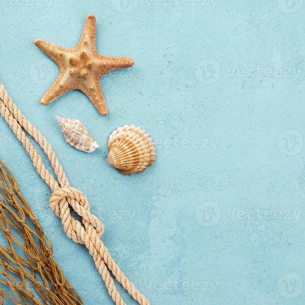 stelle marine e conchiglie con copia spazio foto