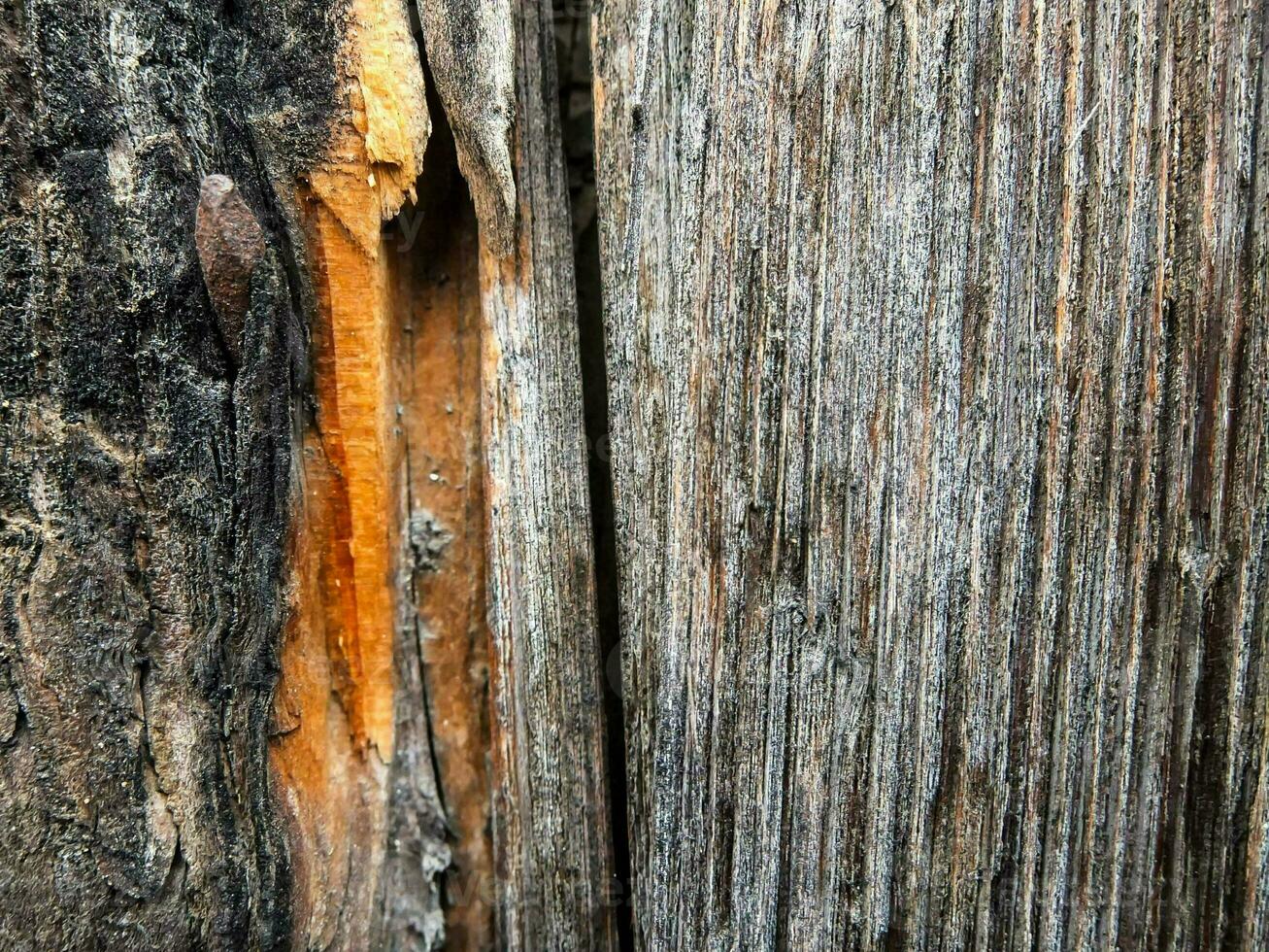 un' vicino su di un' di legno recinto foto