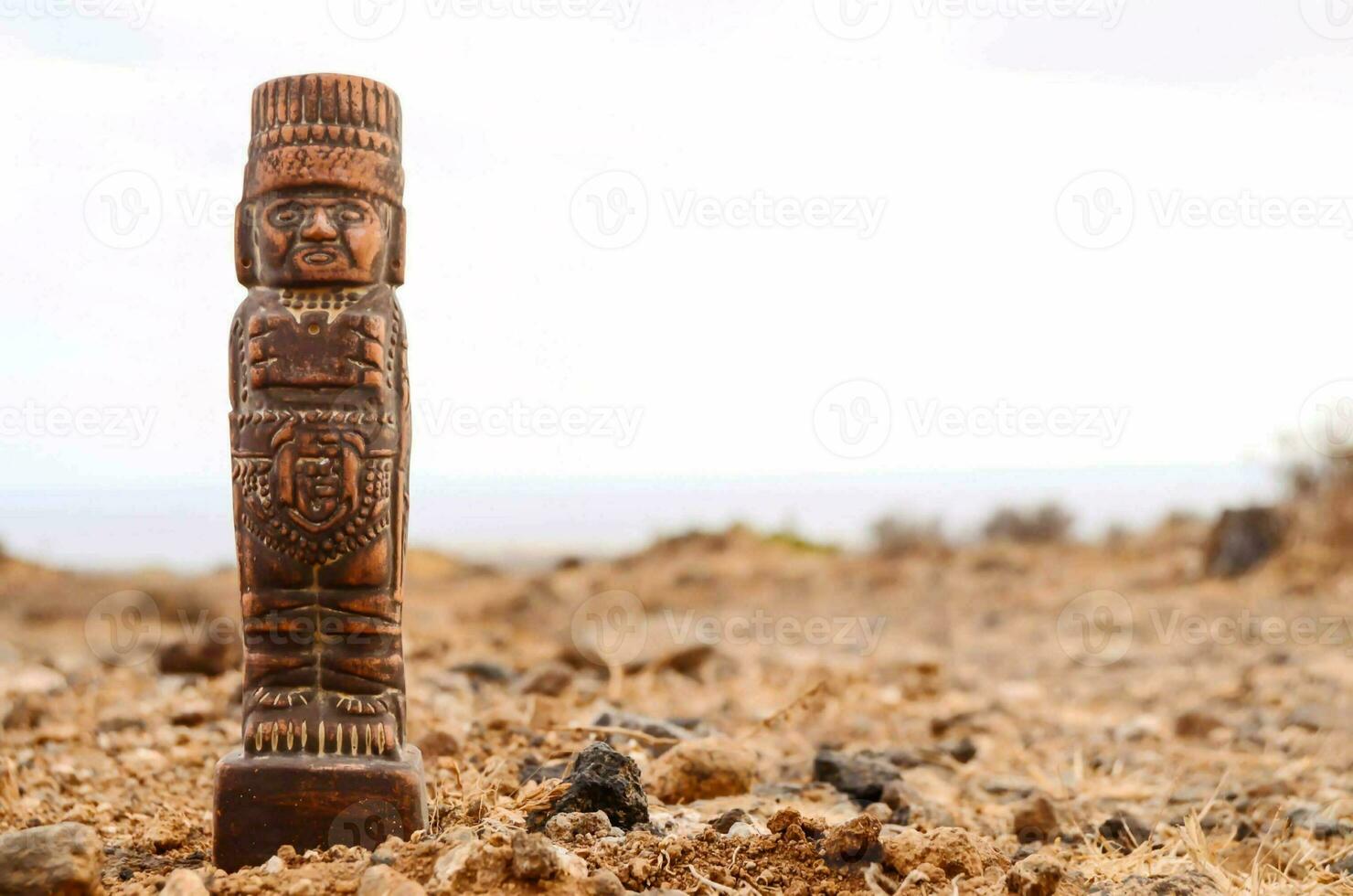 un' di legno statua di un' uomo in piedi nel il deserto foto