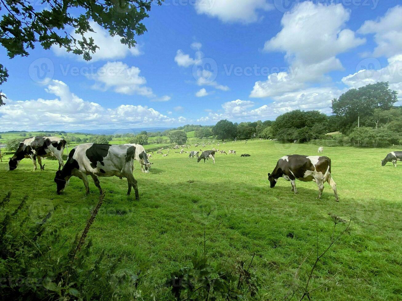 una vista della campagna del Cheshire a Peckforton Hills foto