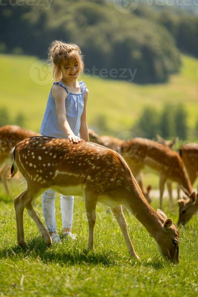 poco ragazza tra renna mandria su il soleggiato giorno foto