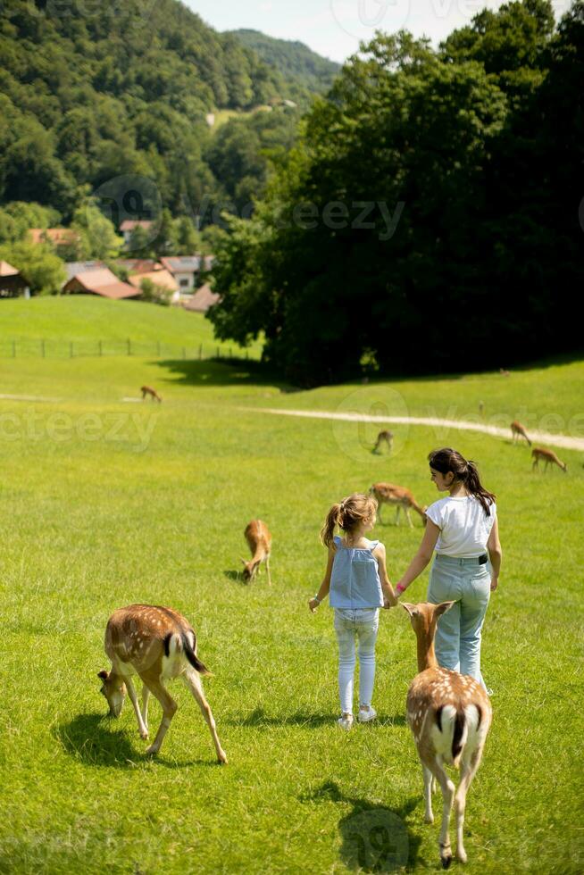 poco ragazze a piedi tra renna mandria su il soleggiato giorno foto