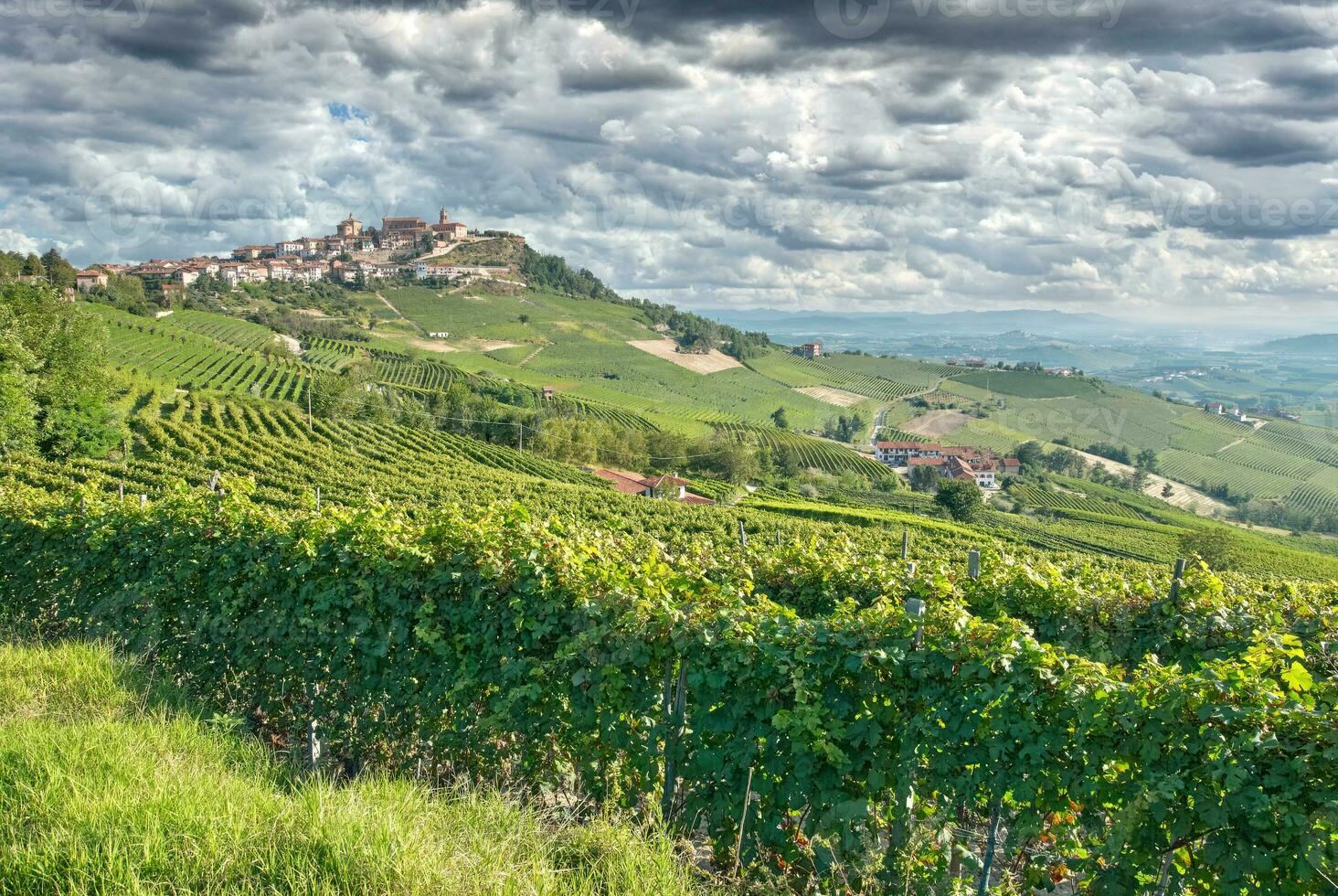 vino villaggio di la Morra,Piemonte,Italia foto