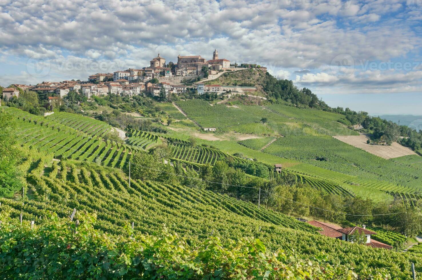 vino villaggio di la morra vicino per Barolo,Piemonte,Italia foto