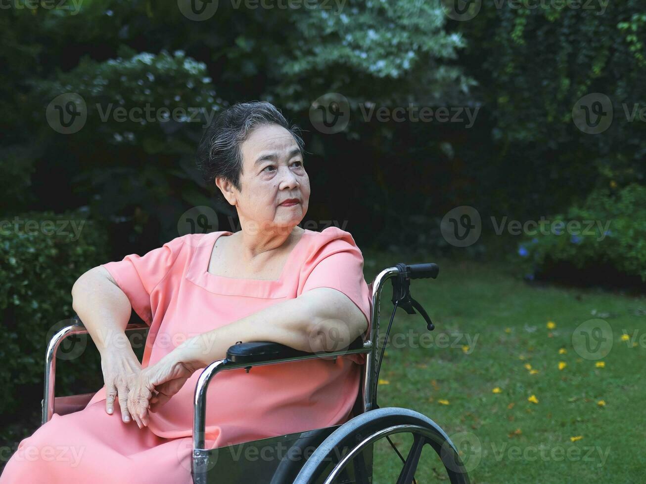 contento asiatico anziano donna seduta su sedia a rotelle nel il giardino, sorridente e guardare Indietro. foto