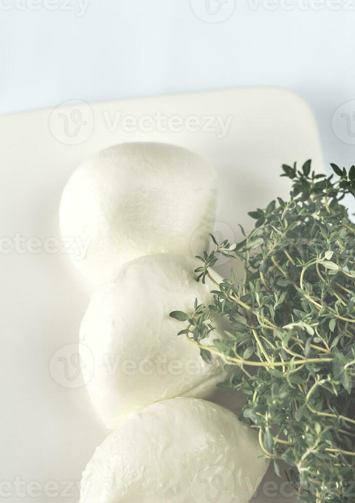 Mozzarella con erbe aromatiche foto