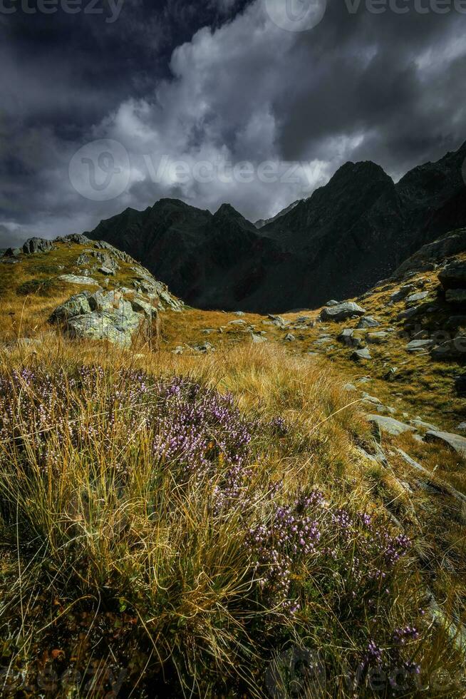 montagna paesaggio di il stubai Alpi foto