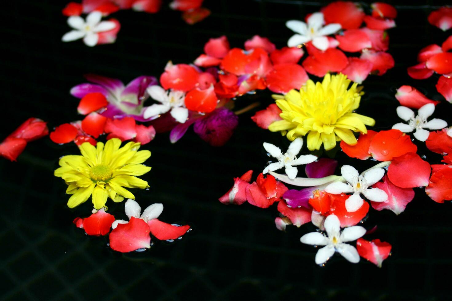 petali fiore su acqua foto