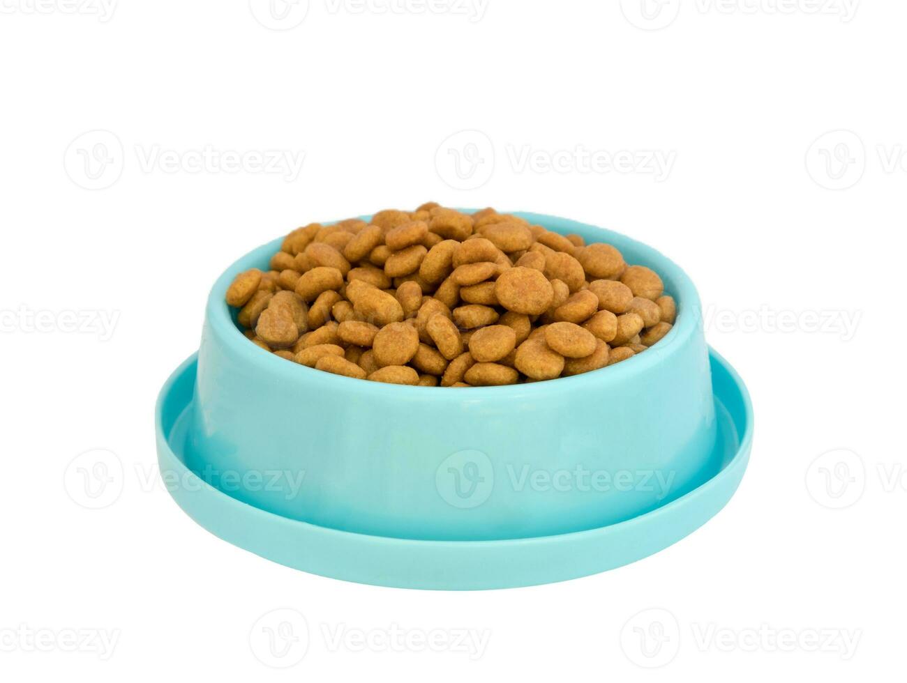 cane cibo pellet nel blu plastica vassoio su bianca sfondo foto