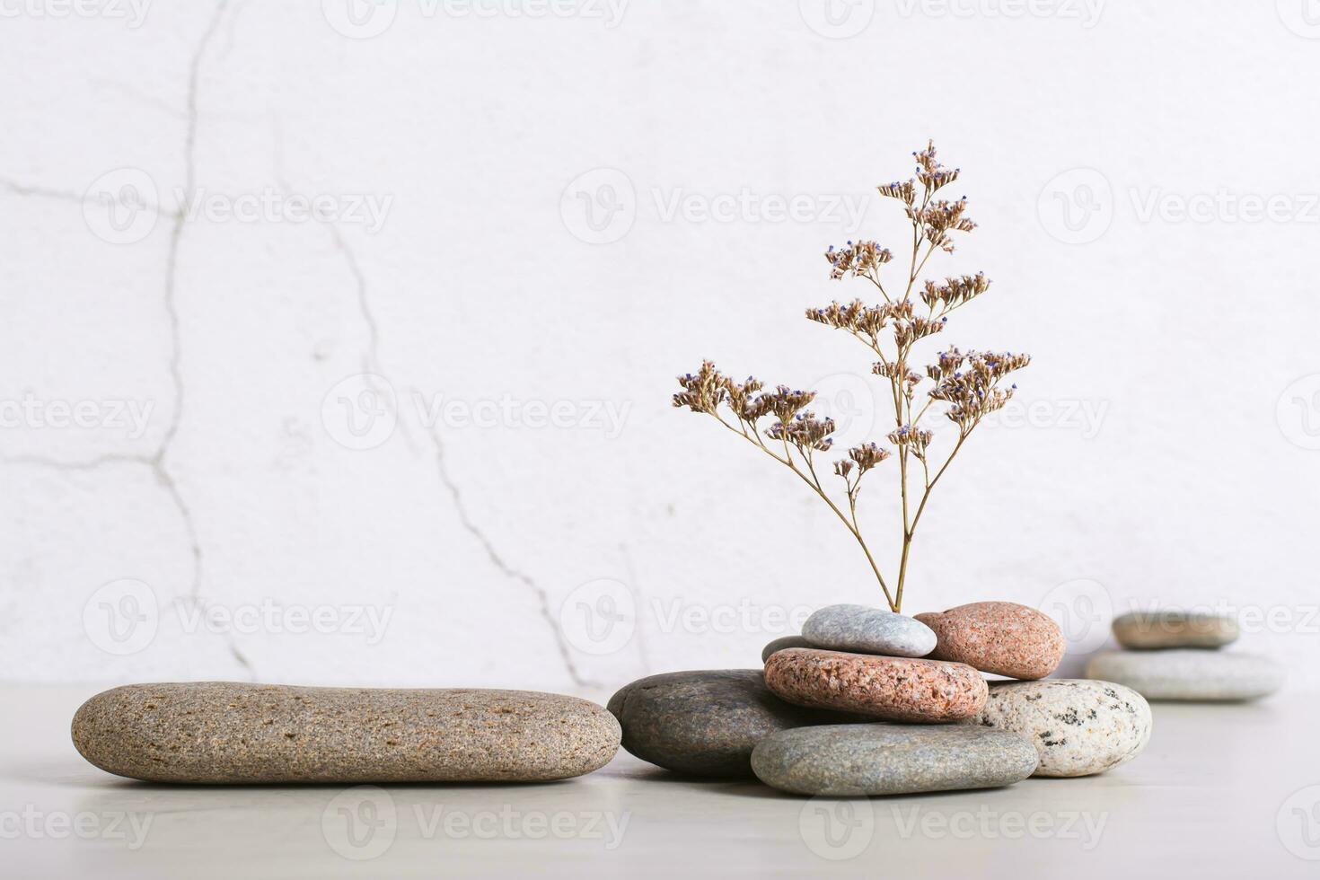 un' podio fatto di liscio mare pietra e un' secco fiore a partire dal un' mucchio di pietre su il tavolo foto