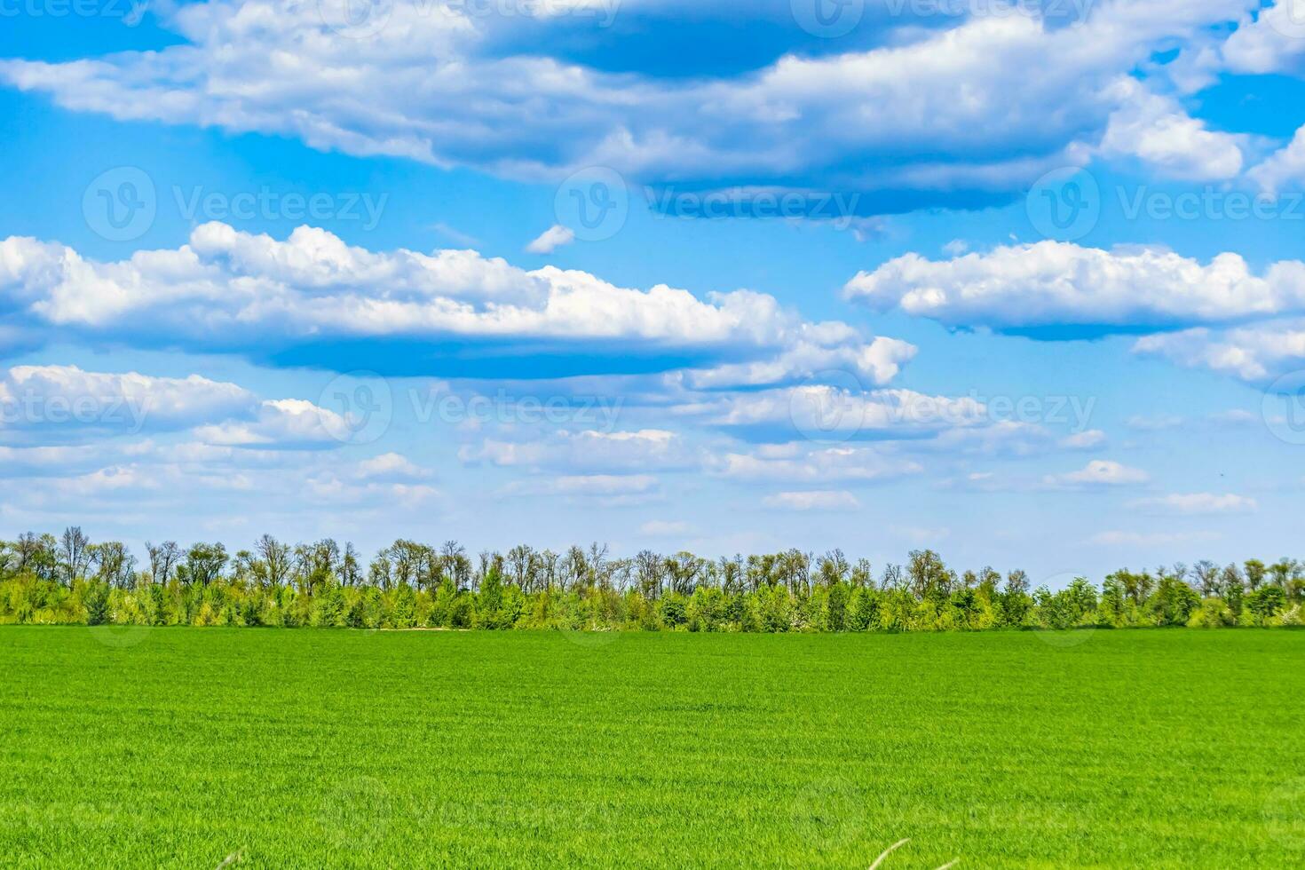 bellissimo orizzonte scenario nel villaggio prato su colore naturale sfondo foto