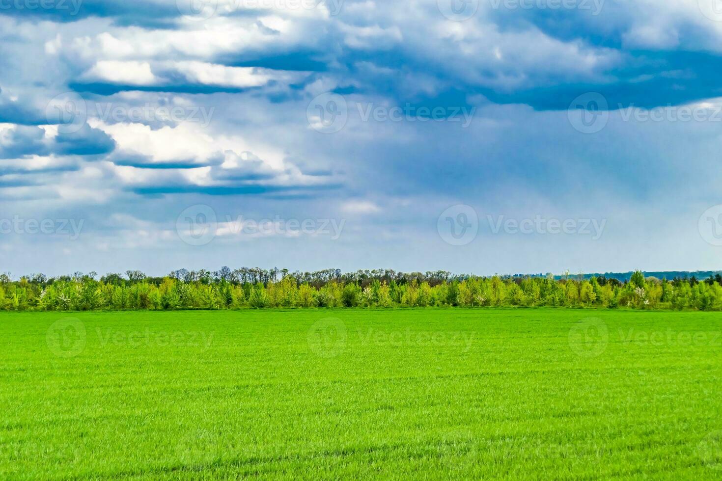 bellissimo orizzonte scenario nel villaggio prato su colore naturale sfondo foto