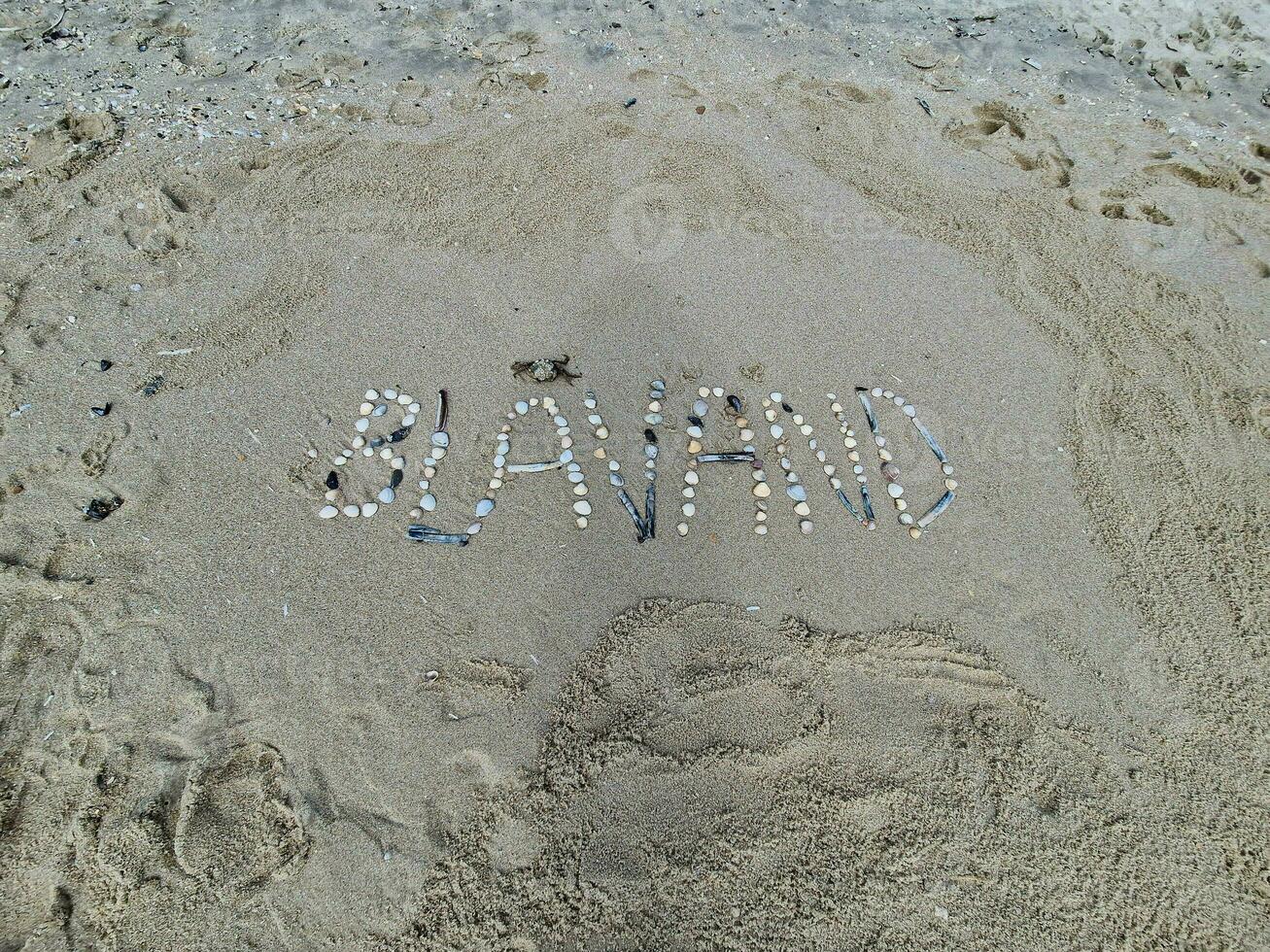 impressioni di il infinito spiaggia a il settentrionale mare nel blavanda Danimarca foto