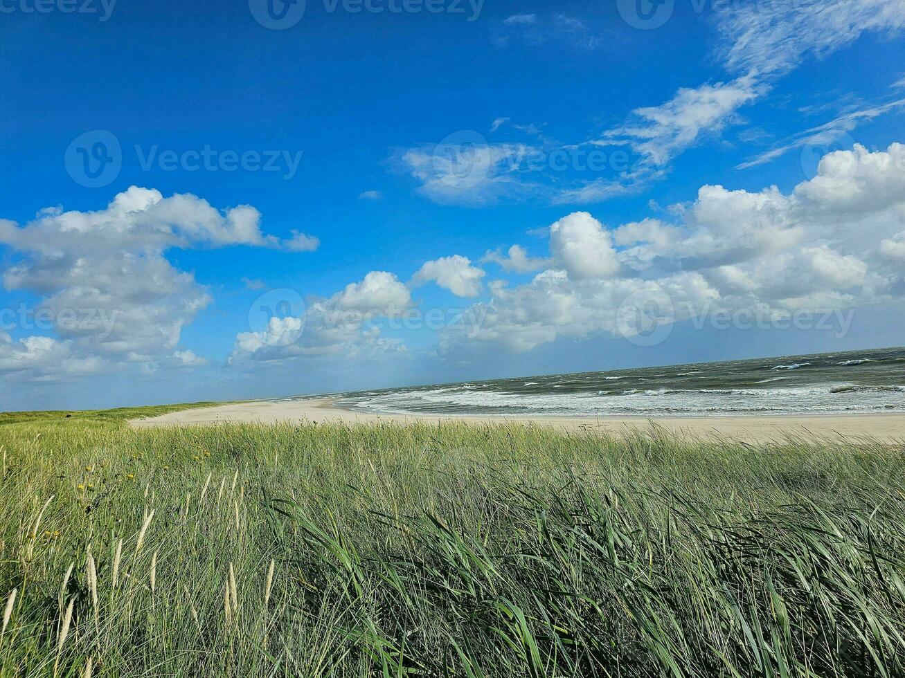 impressioni di il infinito spiaggia a il settentrionale mare nel blavanda Danimarca foto