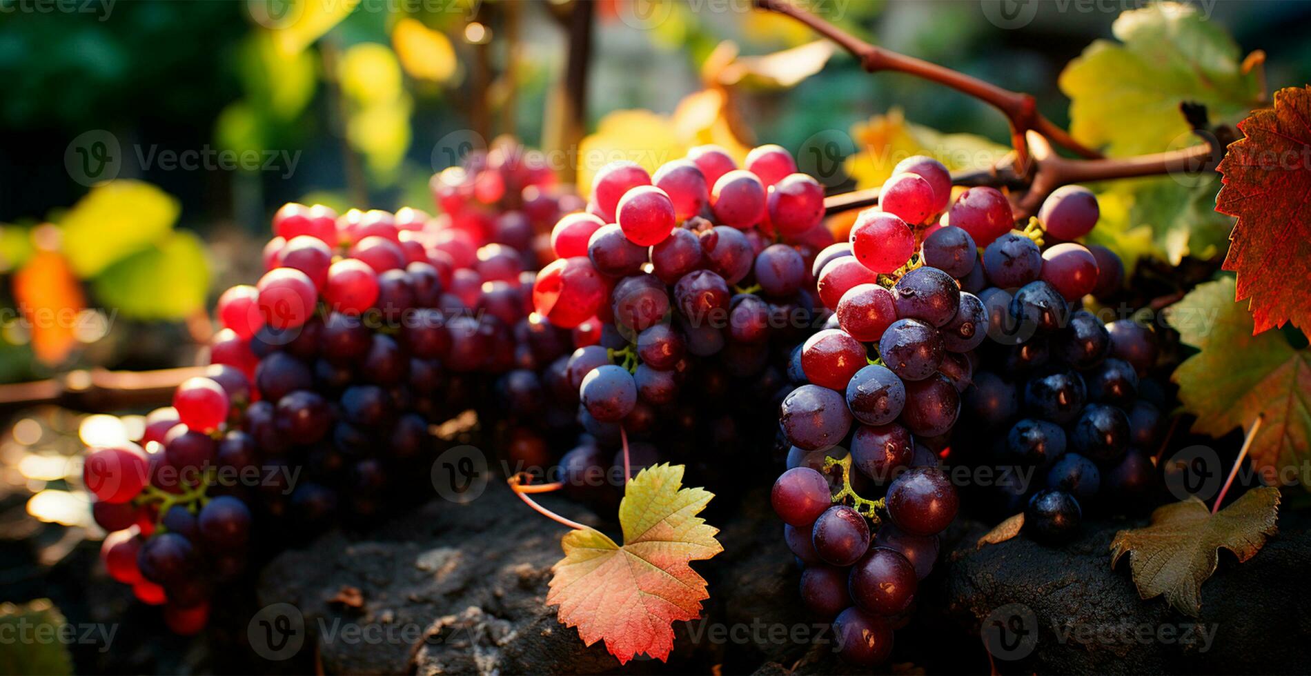 ai generato vino vigneto, avvicinamento uva, futuro vino - ai generato Immagine foto