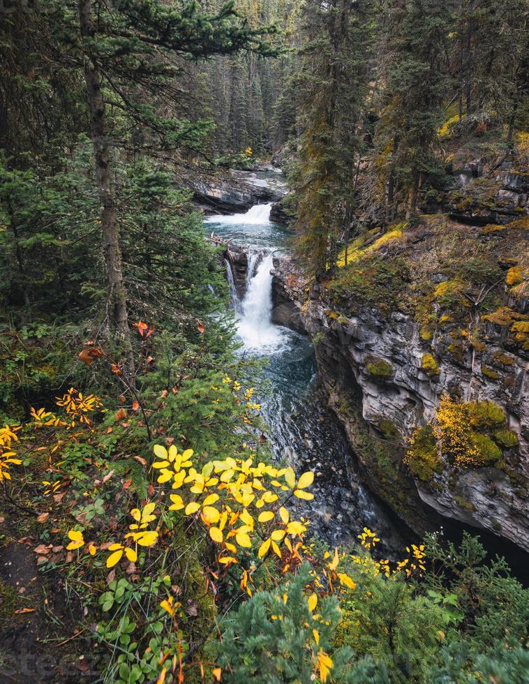 johnston canyon upper cade che scorre nella foresta profonda al parco nazionale di banff foto