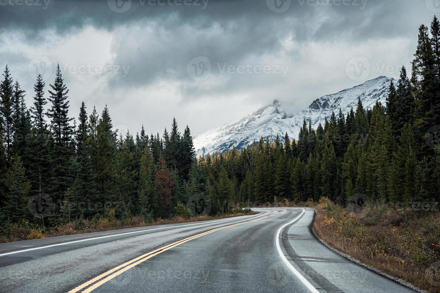 autostrada asfaltata nella foresta autunnale in una giornata uggiosa al parco nazionale di Banff foto