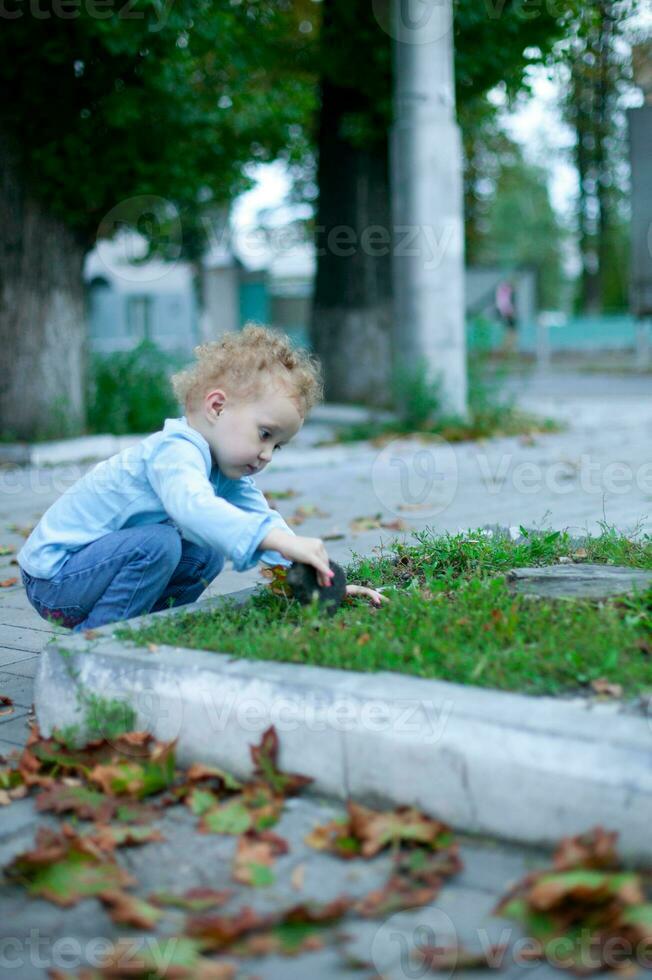 poco bellissimo ragazza giocando nel il strada vicino il aiuole.bambino nel jeans e un' blu camicia giocando all'aperto foto