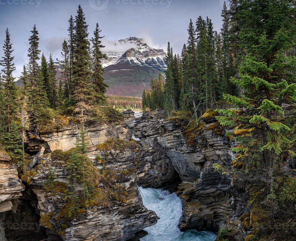 cascate di athabasca che scorrono nel canyon con montagne rocciose nella foresta autunnale del parco nazionale di Jasper foto