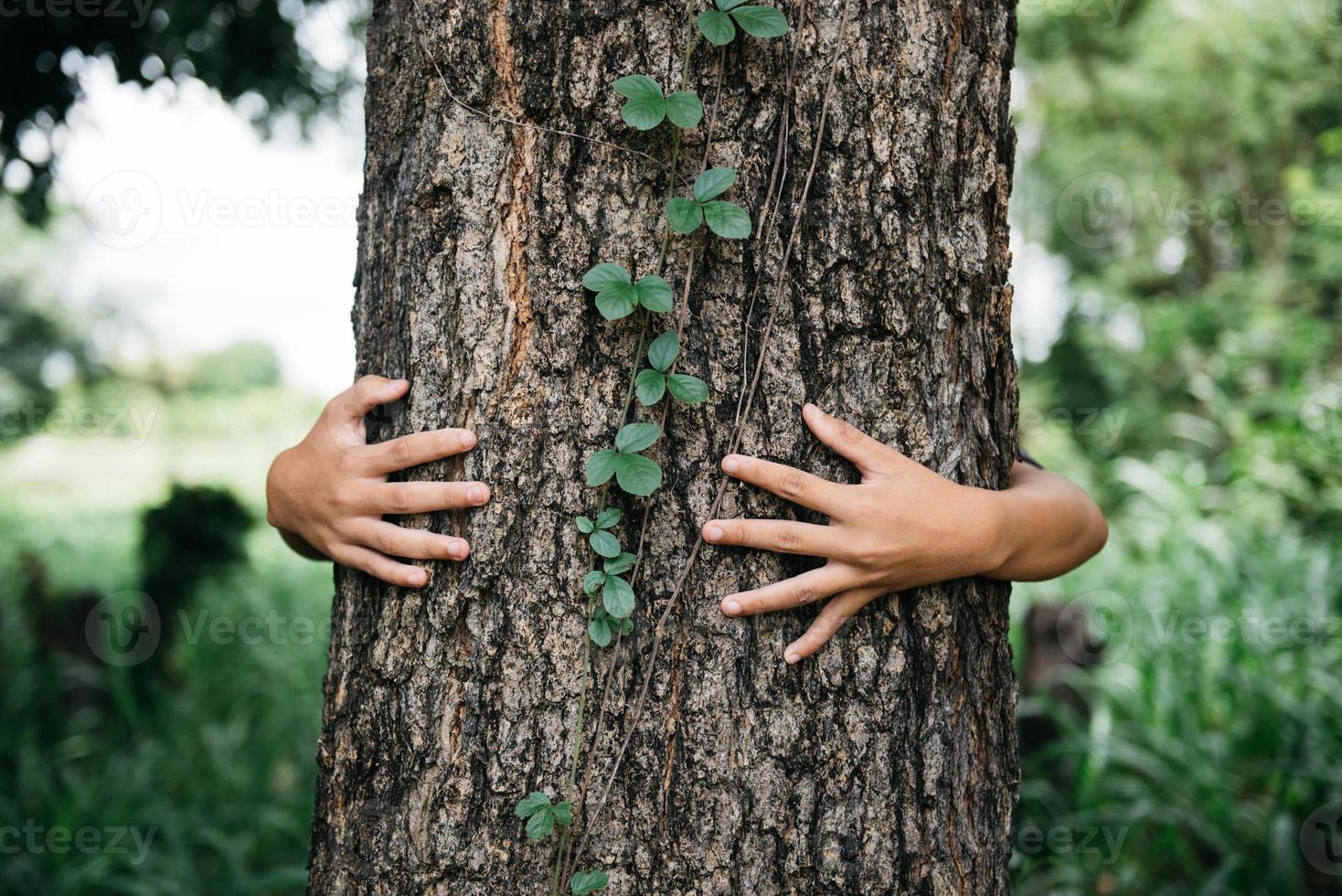 primo piano delle mani del bambino che abbracciano l'albero. concetto ambientale foto