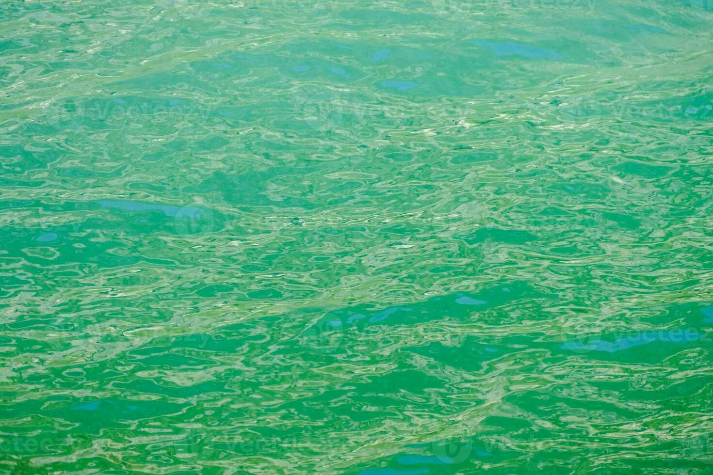 il acqua è verde e ha alcuni alghe su esso foto