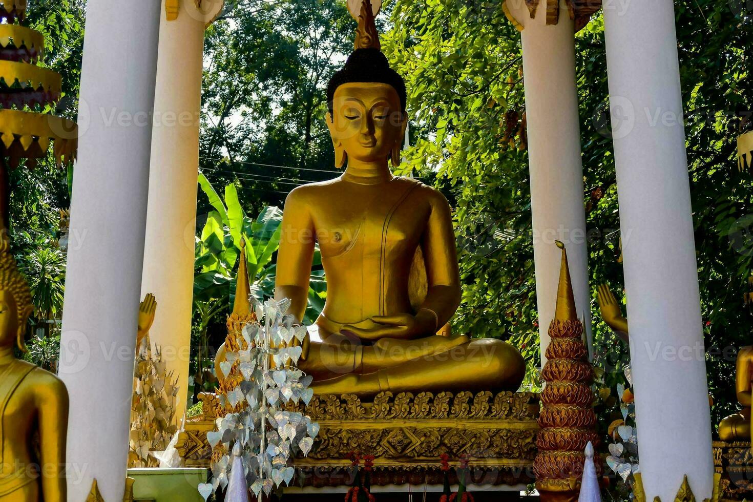 un' grande d'oro Budda statua nel un' giardino foto