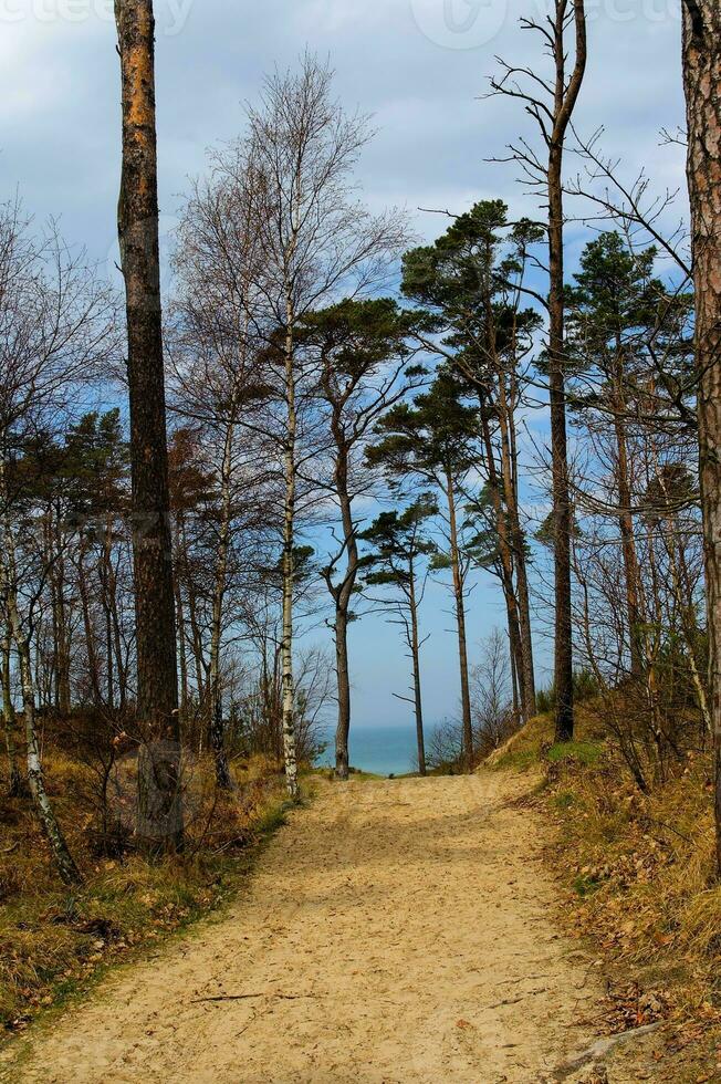 baltico mare paesaggio foto