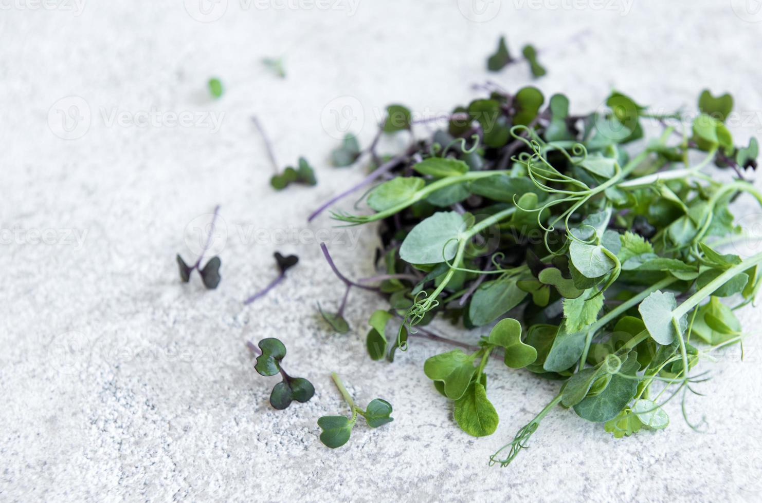 assortimento di micro green su fondo in cemento foto