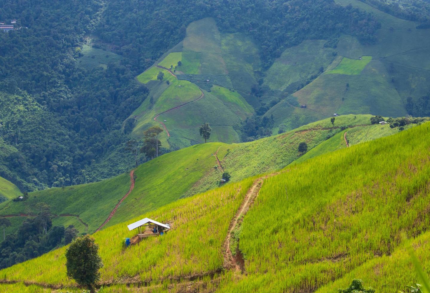 montagne e prati nella stagione delle piogge verde scenario naturale foto