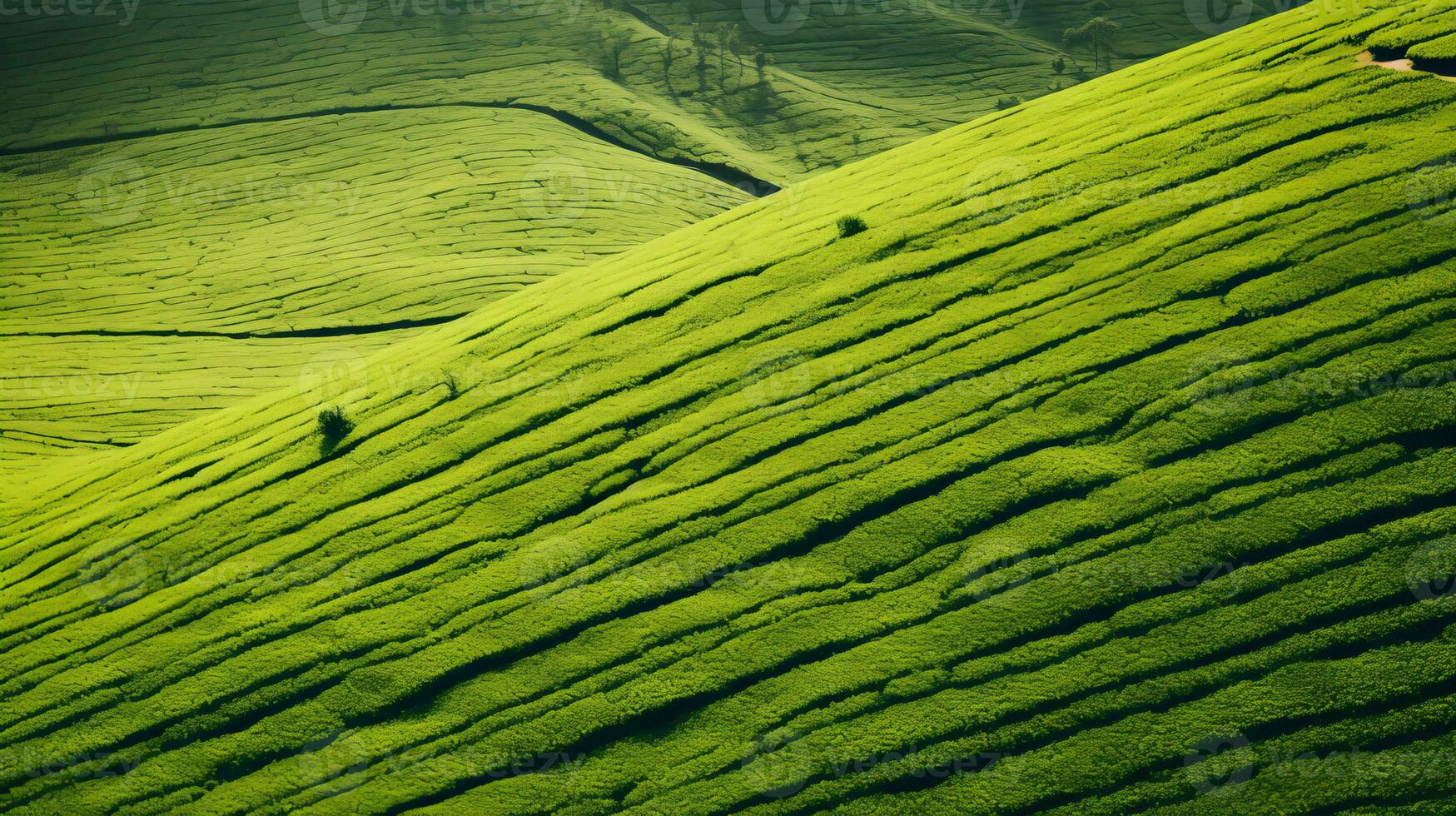 ai generato verde tè piantagione, superiore Visualizza struttura foto