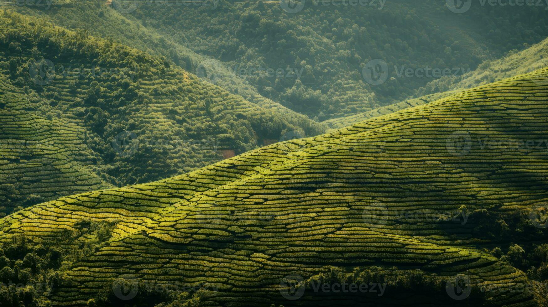 ai generato verde tè piantagione, superiore Visualizza struttura foto