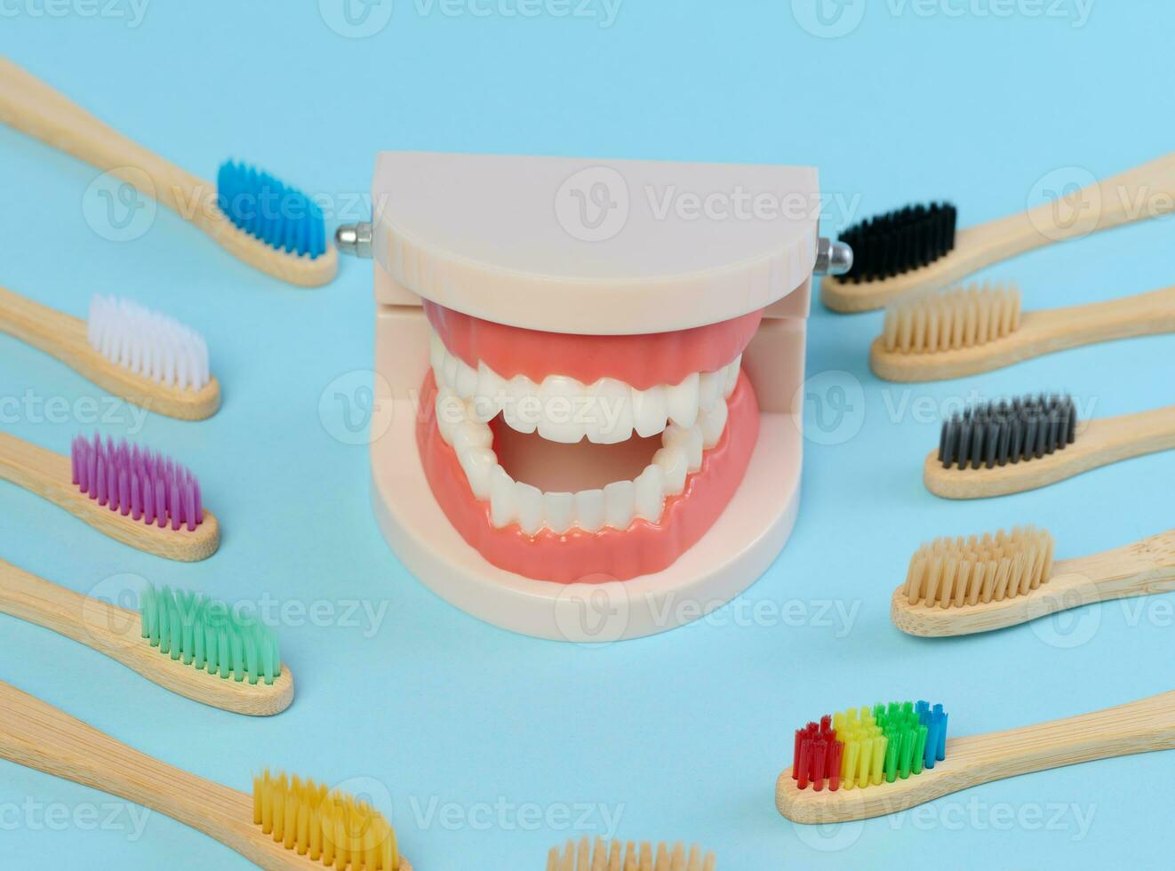 di legno spazzolino e plastica modello di dentale mascella con bianca denti su un' blu sfondo, orale igiene foto