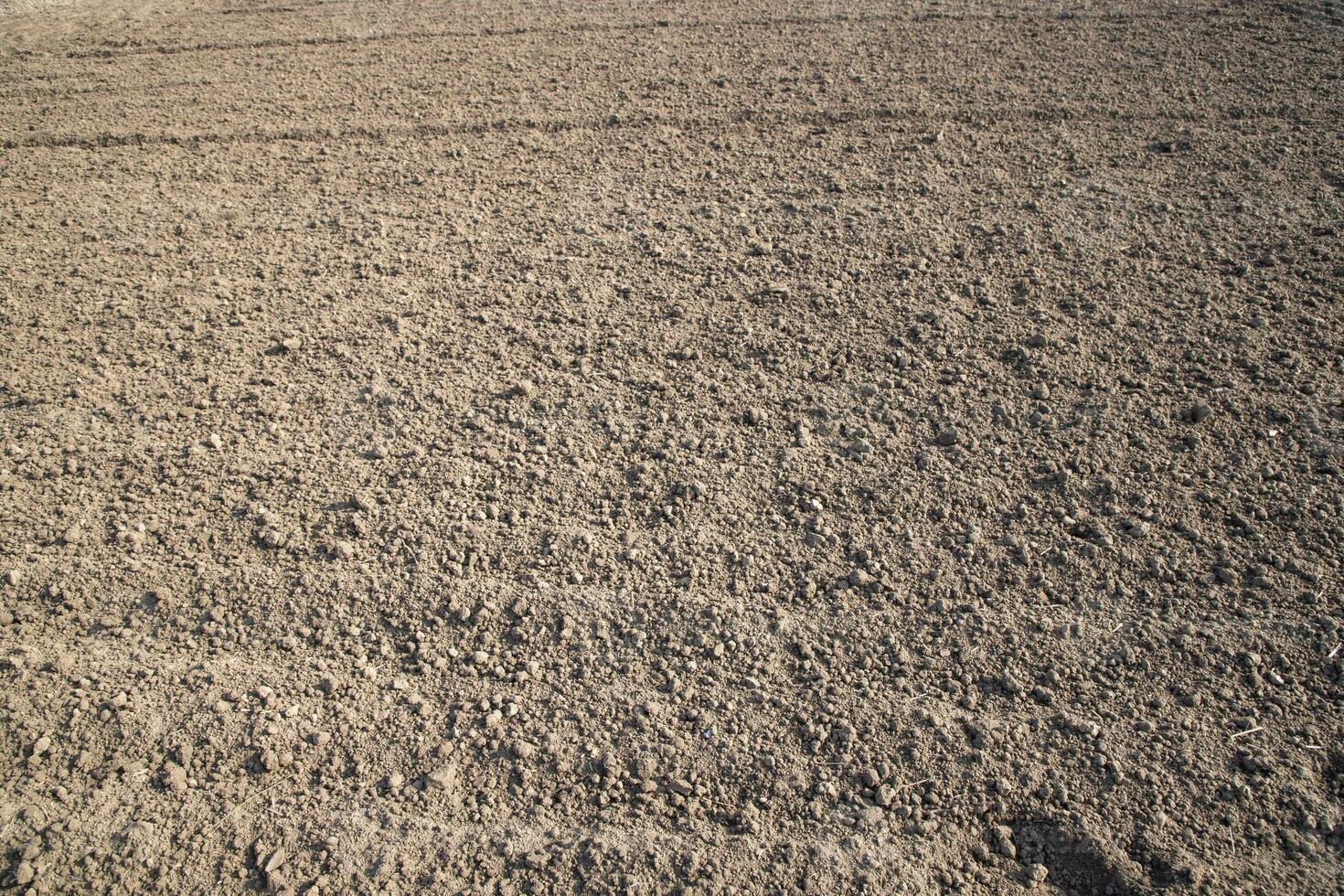 Marrone schiacciato suolo torba campo astratto struttura Maggio essere Usato come un' sfondo sfondo foto