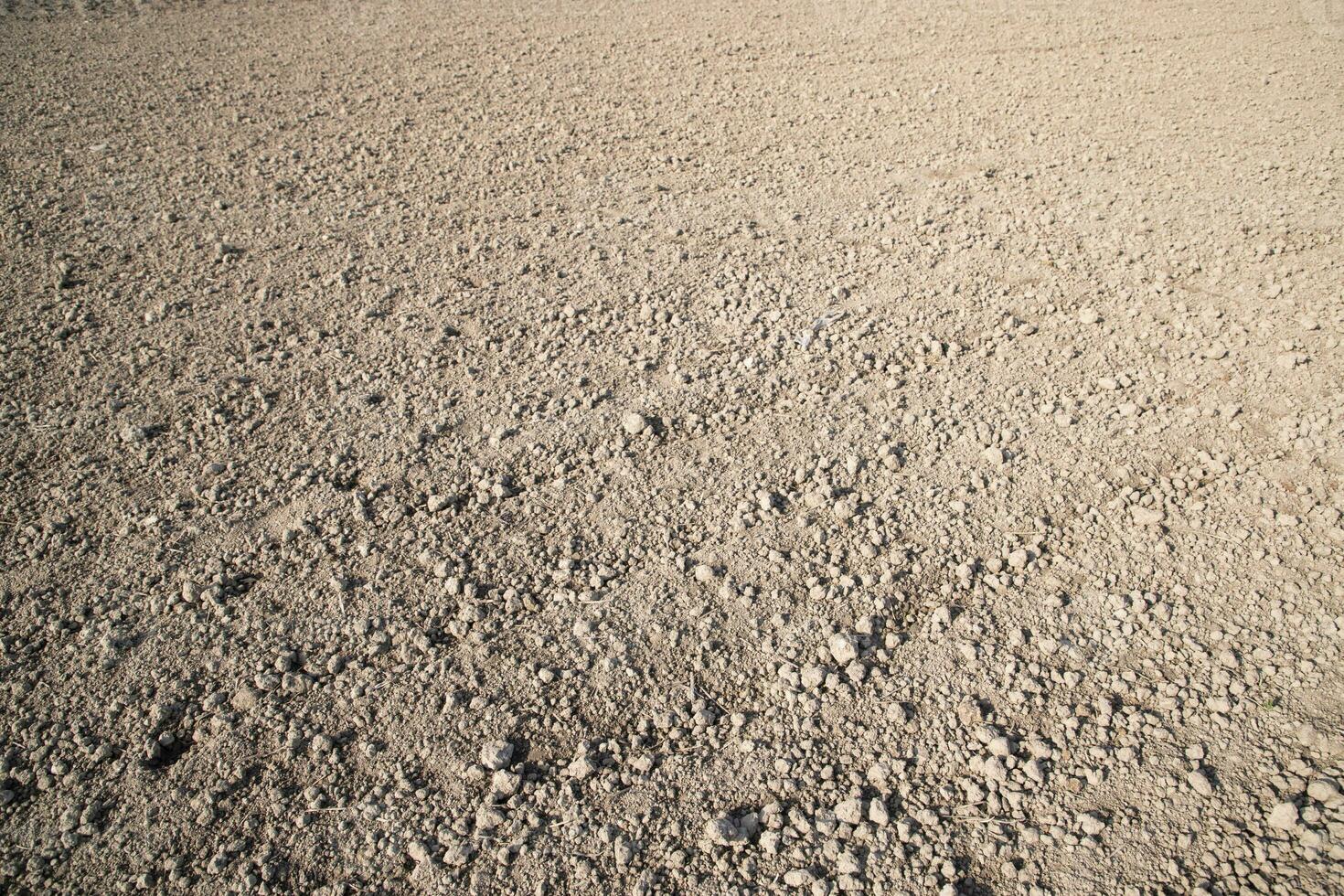 Marrone schiacciato suolo torba campo astratto struttura Maggio essere Usato come un' sfondo sfondo foto