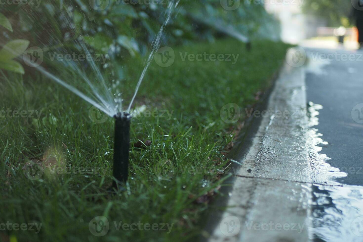 automatico irrigazione erba, giardino prato spruzzatore nel azione. foto