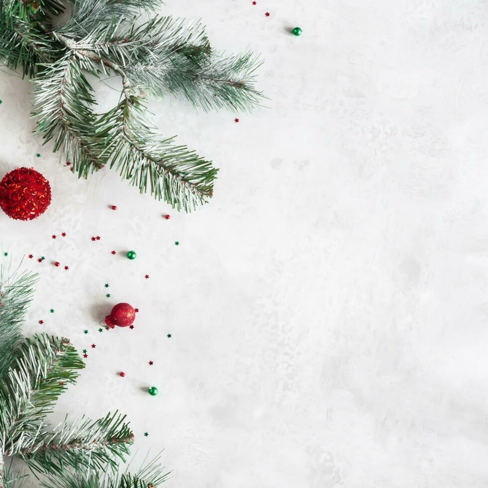 Natale composizione. abete albero rami, rosso decorazioni su grigio sfondo, fiori composizione. bianca e viola fiori su marmo sfondo, eucalipto foglie, inverno, superiore Visualizza. Natale regalo. foto