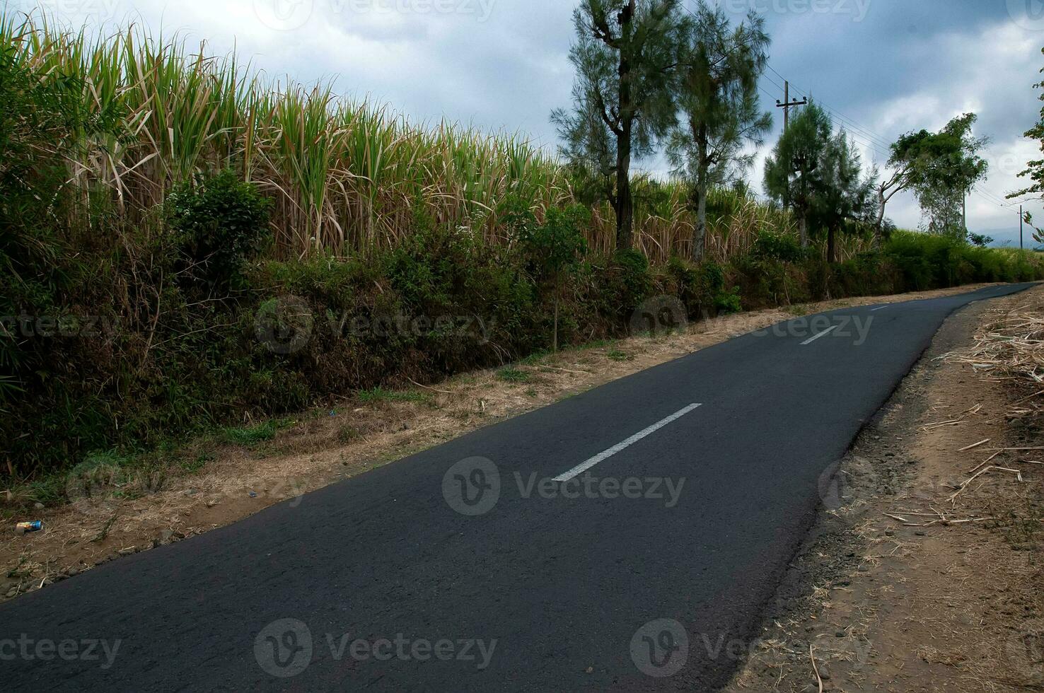 il strada va dritto salita fra Due scogliere foto