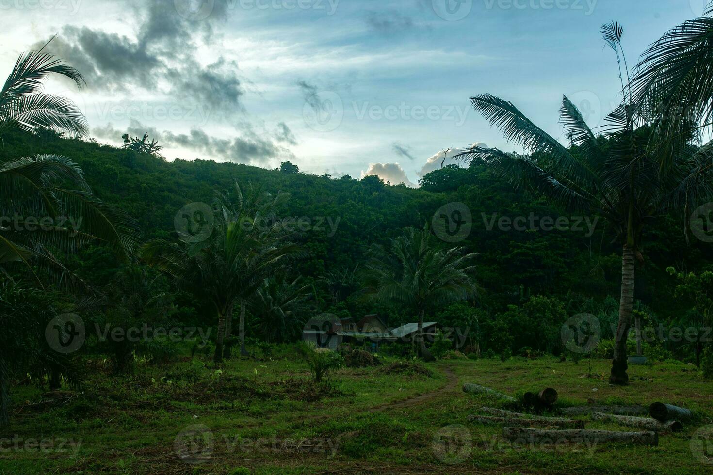 piccolo capanna nel il mezzo di foreste e montagne foto