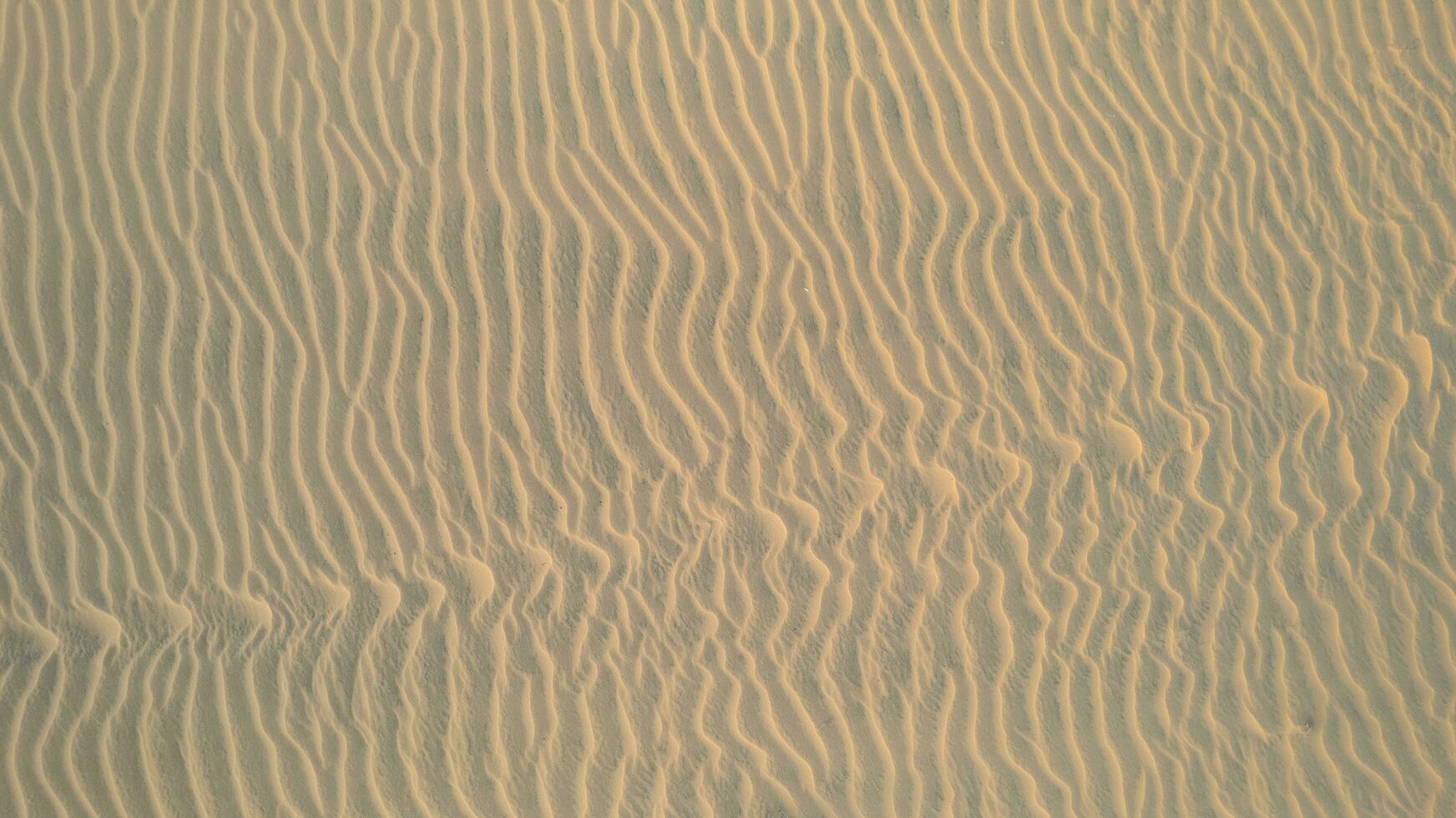 Vietnam rosso sabbia dune d'oro ora foto