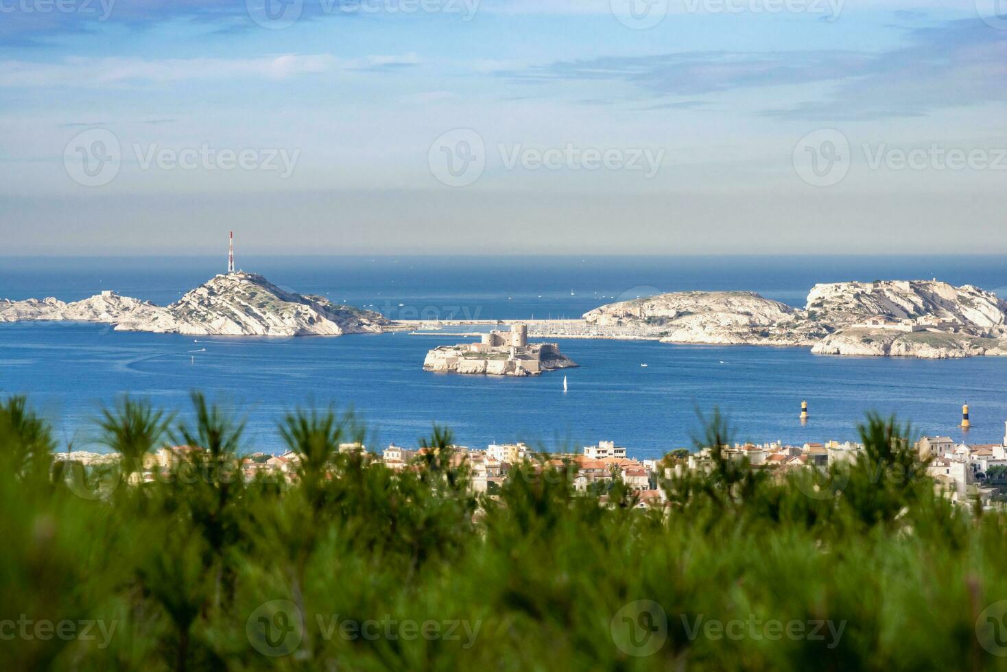 chateau Se Visualizza a partire dal il cespugli foto