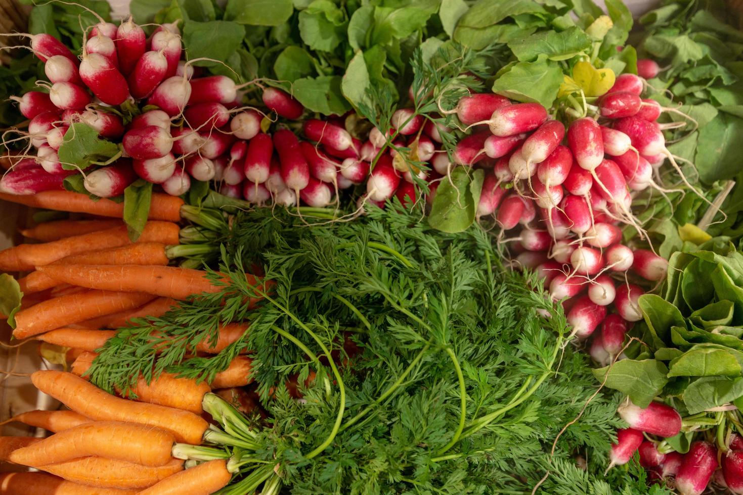 una raccolta di verdure fresche con ravanello e carota. vista dall'alto . - Immagine foto