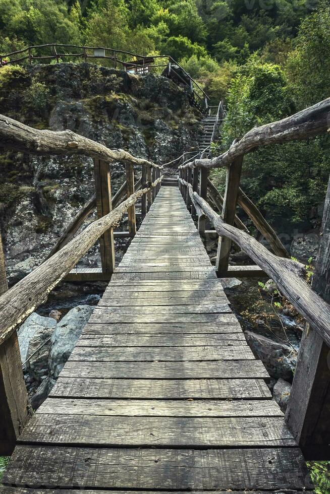 bellissimo di legno fatti a mano ponte nel il ecopata bianca fiume, vicino kalofer, Bulgaria. natura preservazione mentre dando persone accesso è il obiettivo. foto