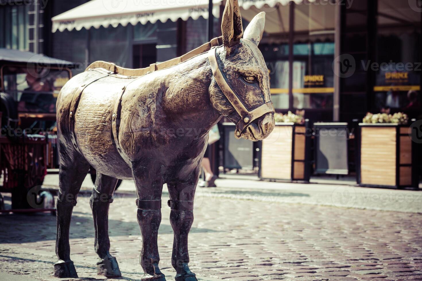 il statua di un' asino vecchio cittadina piazza nel correre. foto