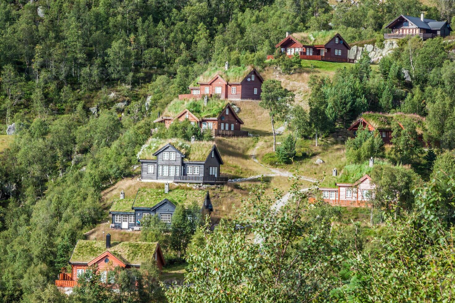 tipico norvegese Casa con erba su il tetto foto