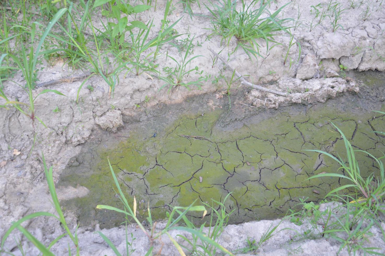 consistenza del terreno secca e screpolata foto