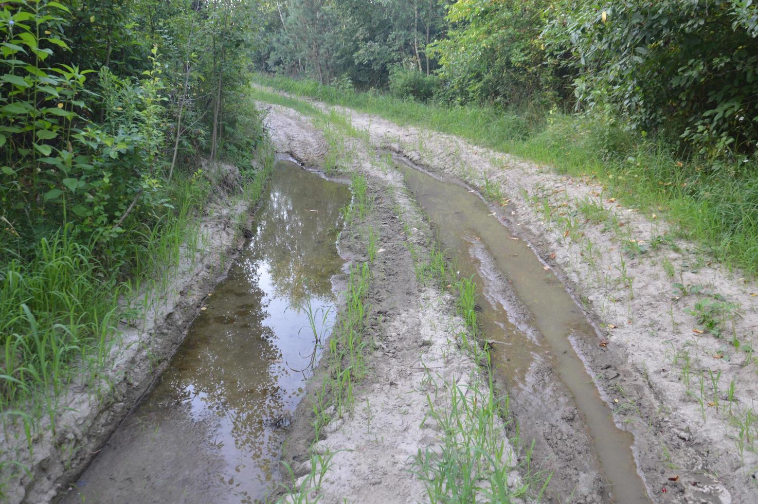 tracce di camion nella foresta strada rurale fuori strada foto