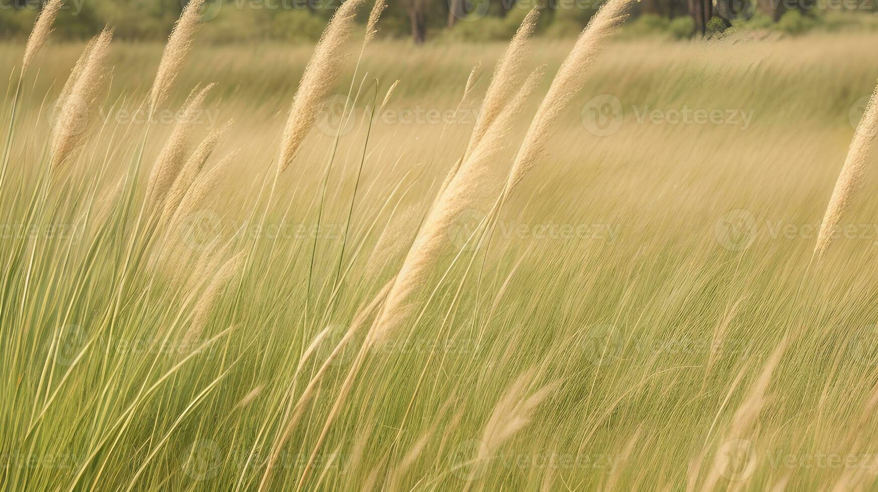 ai generato etereo danza, grazioso lame di erba ondeggiante nel della natura sinfonia. ai generato foto