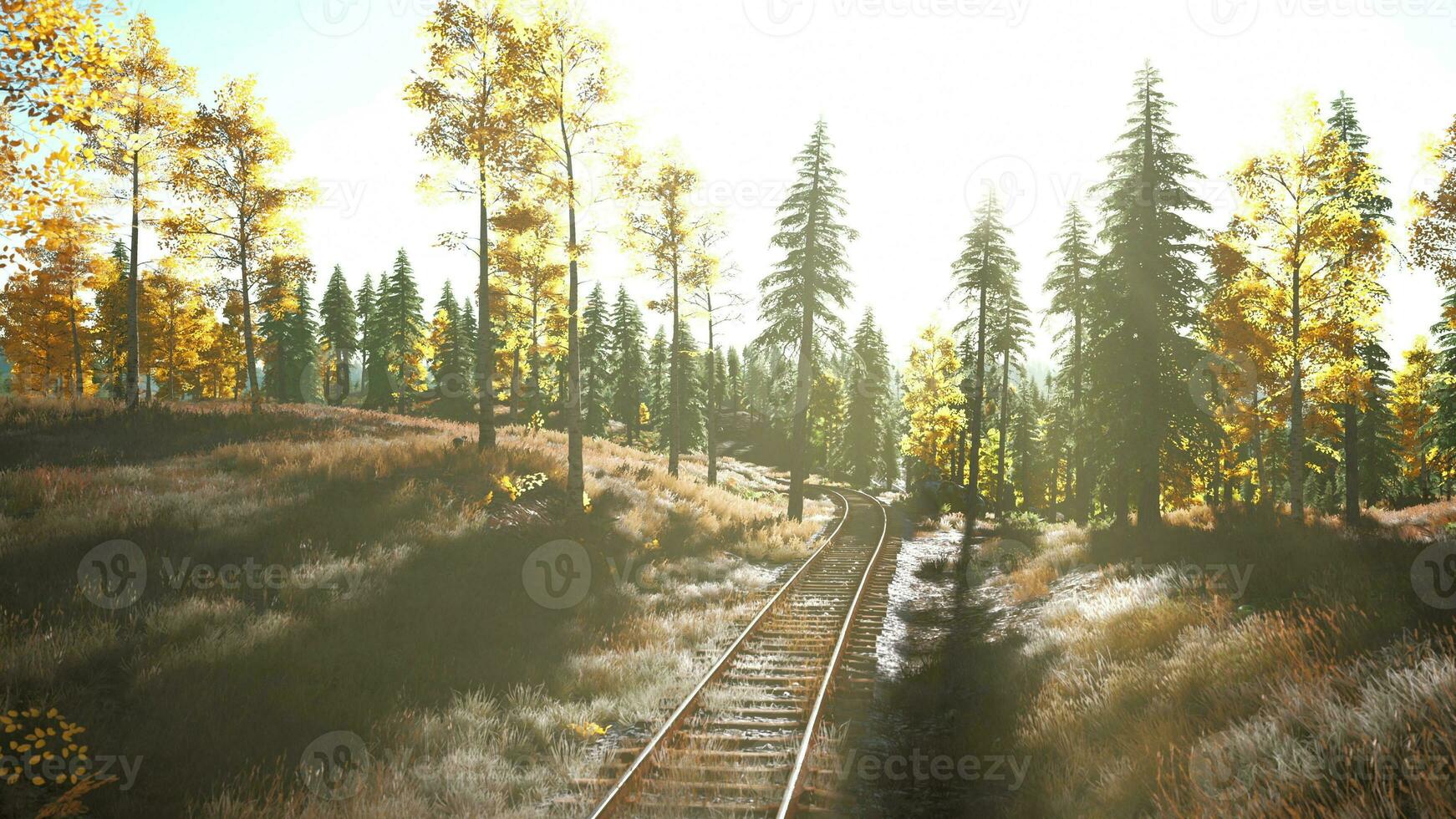 un' treno traccia taglio attraverso un' lussureggiante foresta a tramonto foto