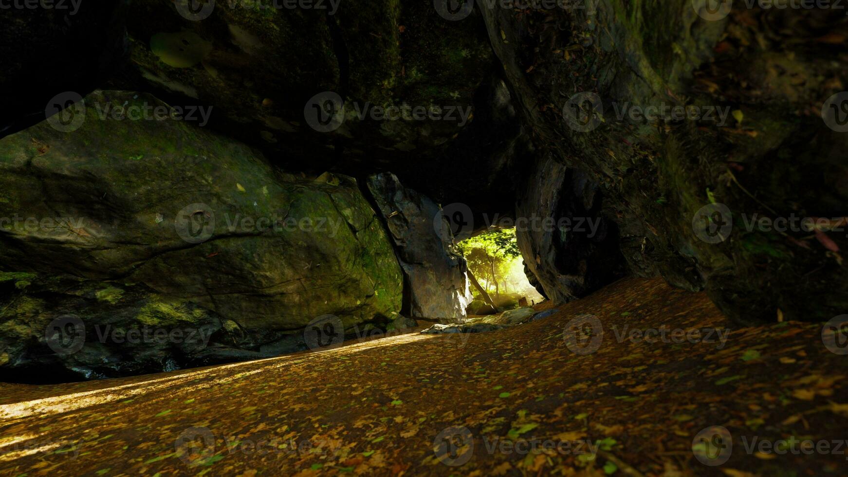 albero di leggero splendente giù in grande grotta foto